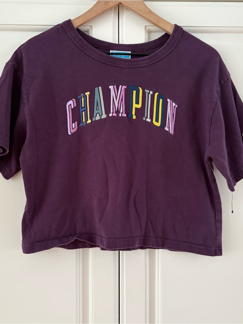 Champion Small Cropped Purple Embroidered Logo Top